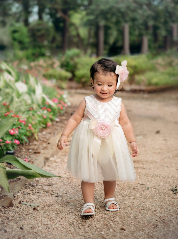 Buy Zoe'S Magic Diaper Dress for Newborns and Toddler 