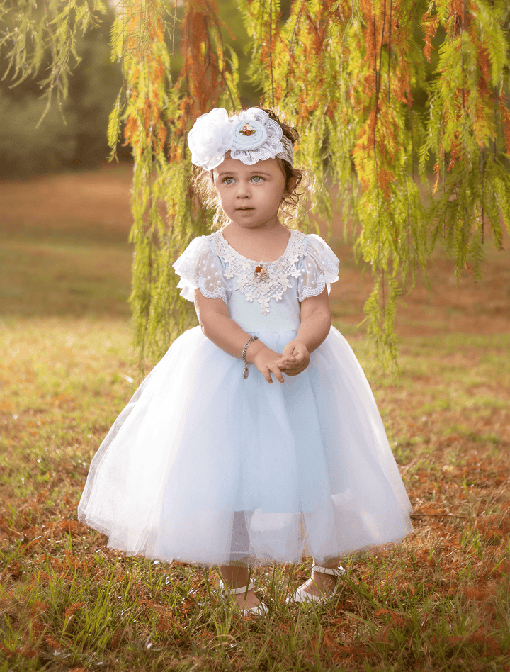 Best Quality Iris Tulle Dress for Baby Girls 