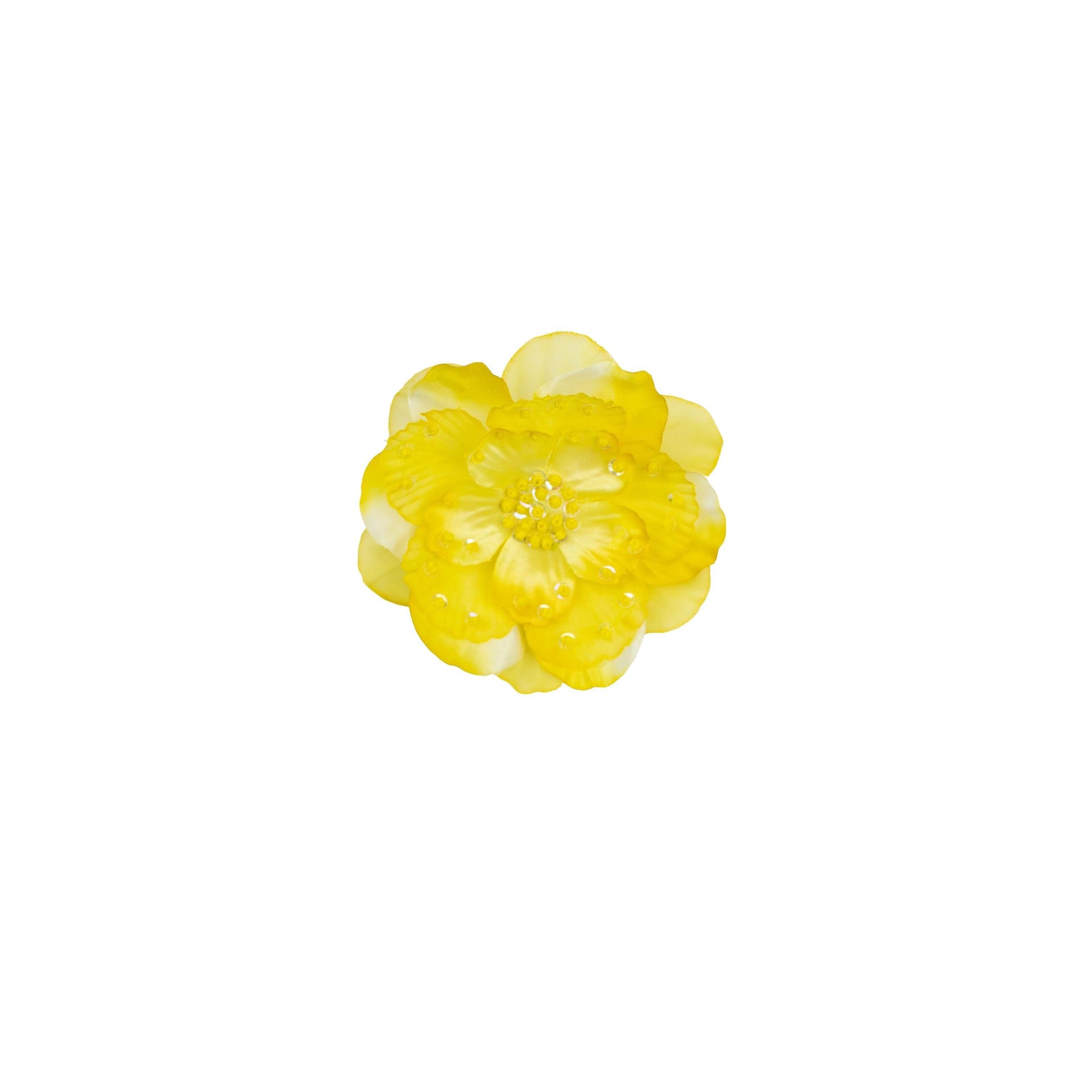 Buy Mysctic Garden Clippie for Baby Girls Online - Haute Baby