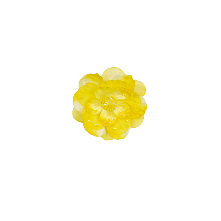 Buy Mysctic Garden Clippie for Baby Girls Online - Haute Baby