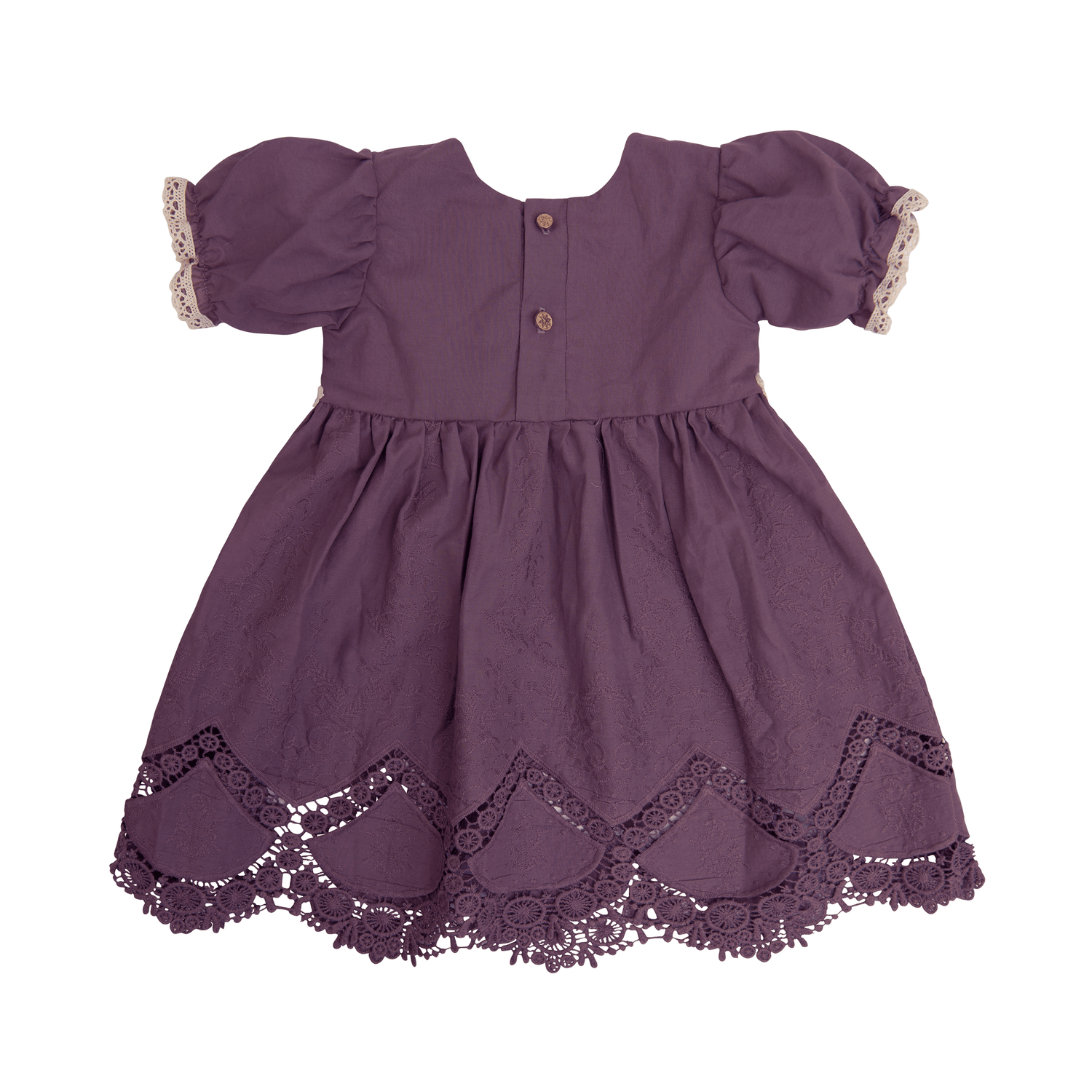 Shop Violet Field Baby Dress for Baby Girls 