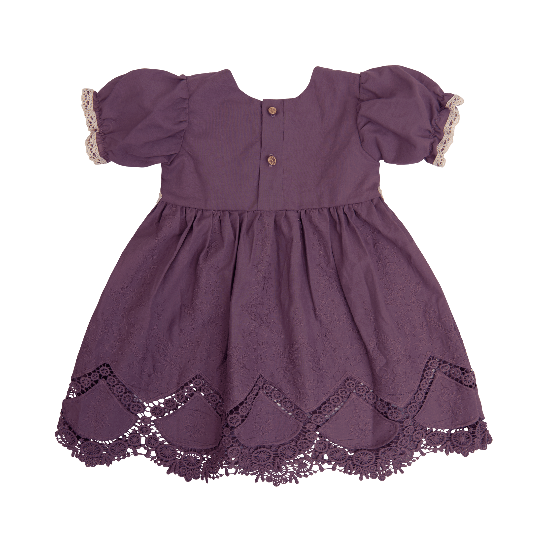 Shop Violet Field Baby Dress for Baby Girls 